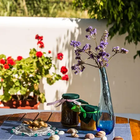 Апартаменты Angie's