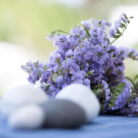 Angie's * פארוס