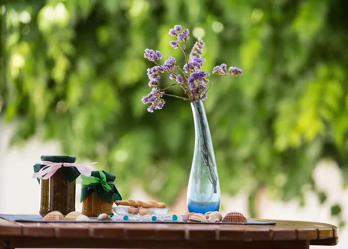 Angie's Apartment Parikia (Paros)