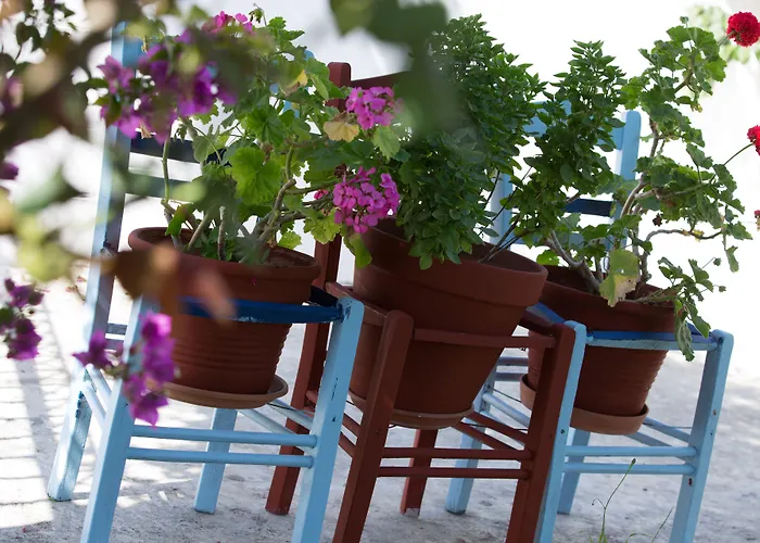 Angie's * Parikia (Paros)